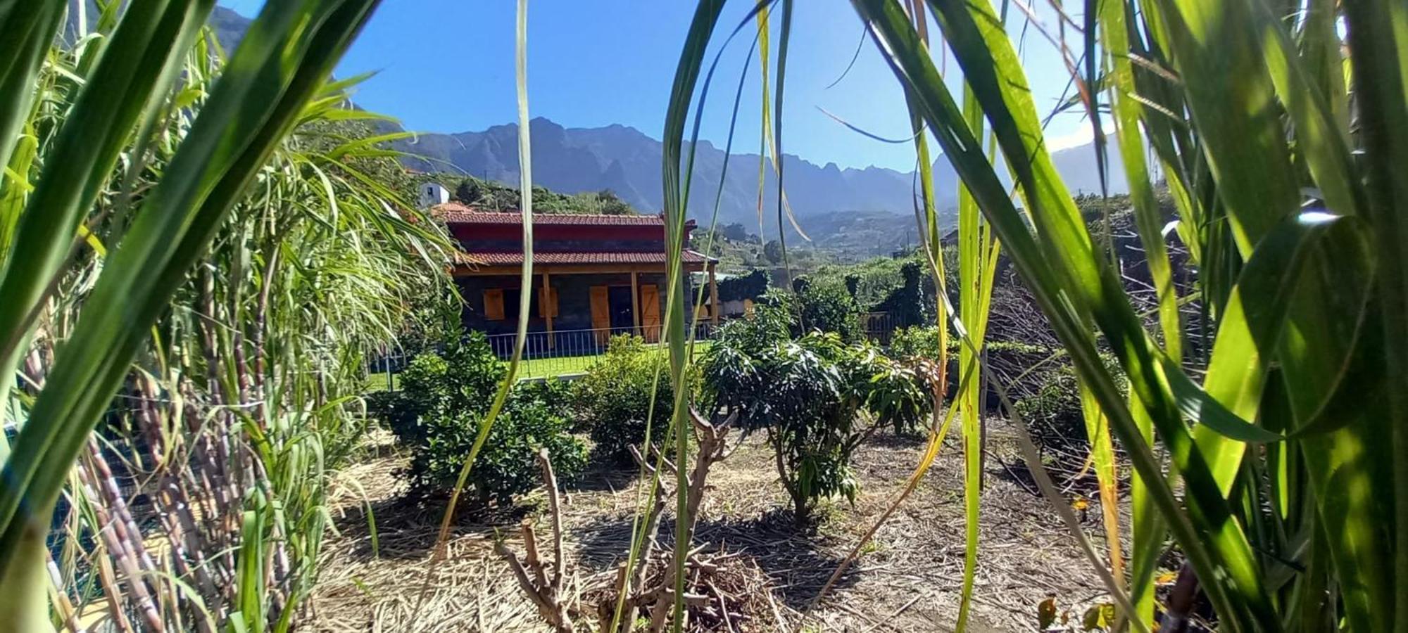 Refugio Do Limoeiro Casa de Férias