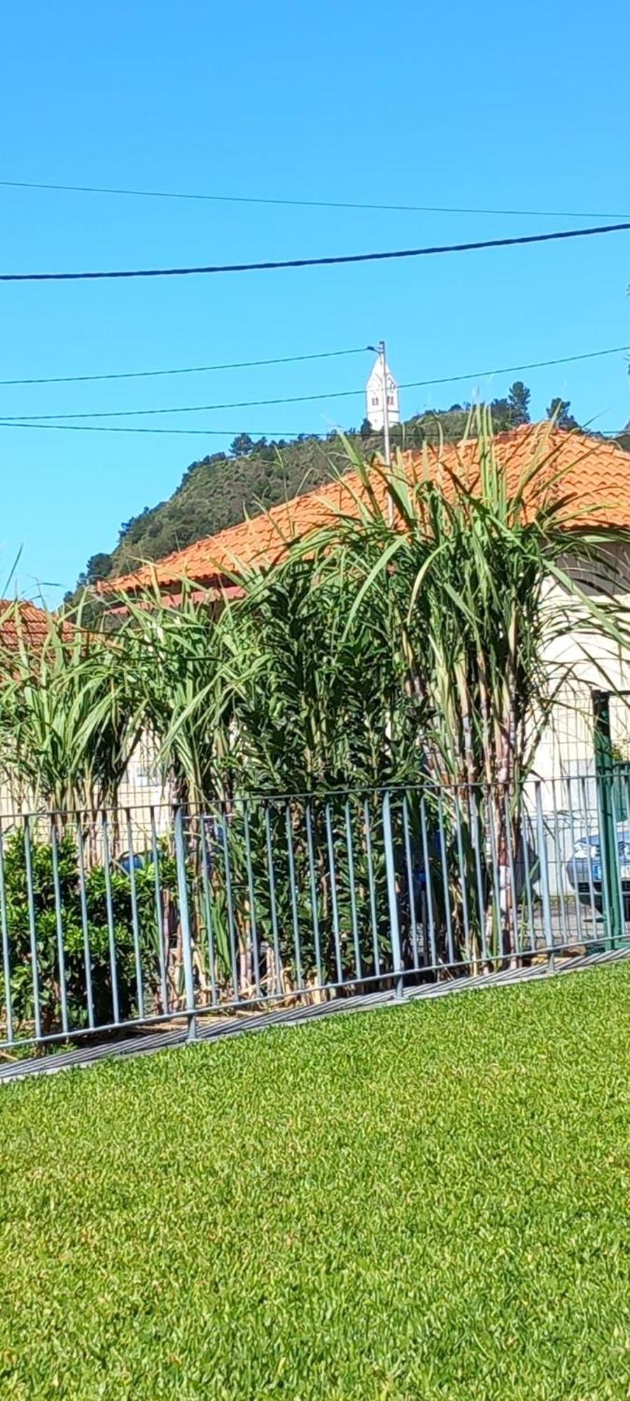 Refugio Do Limoeiro Holiday home Sao Vicente (Madeira)